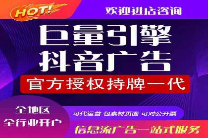 某电商平台的SEM广告投放全流程解析